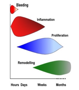 Healing Timeframe